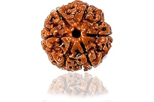 Naisha 6 Mukhi Himalayan Rudraksha | Six Faced Rudraksha | Rudraksha Beads With | 100% Original & Certified (Spiritual and Healing Product)…