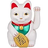 Out of the blue Gatto salutante