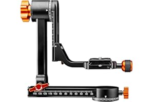 Walimex pro Aluminiowa głowica statywu Gimbal Head A20 – wysokiej jakości 360 stopni panoramiczna głowica statywu, huśtawka małpowa z płytą szybkozmienną Arca, nośność 20 kg, z torbą, do obiektywu DSLR DSLM Spektywnego