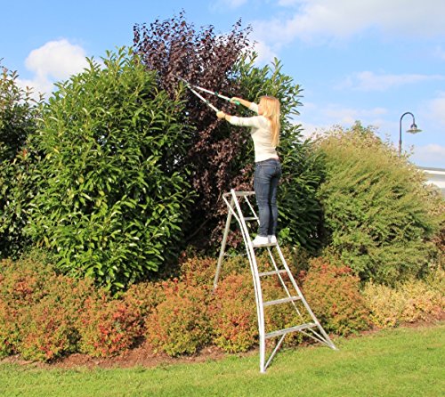 Gartenleiter Niwaki 240 cm - 2