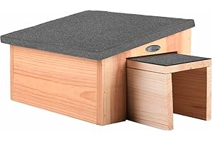 Fallen Fruits WA53 - Casa per Ricci, 100%, Colore: Marrone