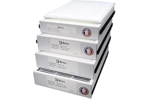 Brizz - Filtro compatibile con purificatore d'aria ALDES InspirAir Home SC370 - tipofiltrazione: Polveri