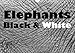 Produktbild Elephants Black & White (Wall Calendar 2018 DIN A4 Landscape) Dieser erfolgreiche Kalender wurde dieses Jahr mit gleichen Bildern und aktualisiertem ... [Kalender] [Apr 01, 2017] Stern, Angelika