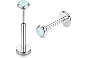 ADRAMATA 2Pcs G23 Titanium Labret Studs Lip Piercing Jewellery Threadless Push in Medusa Monroe Piercing Lip Bar Earring Piercing Studs Nose Studs Nose Piercing Conch Tragus Helix Piercing Jewellery