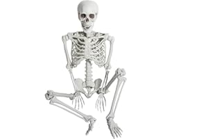 AOFOX 165cm Halloween a grandezza Naturale Scheletro Intero Corpo Umano Ossa con articolazioni mobili per Il cimitero Spaventoso della casa infestata del cimitero (165cm)
