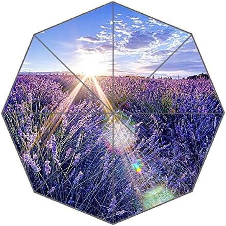 Travel Umbralla-Windproof Compact Umbrellas Portable Folding with Reinforced Frame, 8 Ribs &amp; 3-Section Aluminium,Custom Waterproof Fabric Rain and Sun Umbrella for Men and Women,Lavender