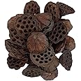 Lotus Pods 52 pcs, Natural Decorations, Bowl Fillers, Potpourri, Dried Flowers, Festive Decor, Home & Party Decor, Craft Supply
