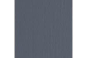 BLISTER 10FG CARTONCINO 70X100 220GR FERRO 122 FABRIANO ELLE ERRE [46470122], Grigio (Ferro)