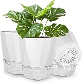 NUTKIT Self Watering Pot 18*10.5*16.5cm,3 Pcs White Plastic with Tray | Round, Drainage Holes, Automatic Watering System, Ide