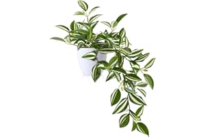 SOGUYI Fausse Plante 38cm Vert Plante Artificielle Interieur Exterieur de Plantes Artificielles en Plastique Très Réalistes pour Salon Appartement Salle de Bain Cuisine Balcon