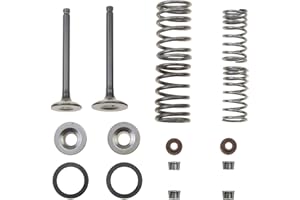 WOOSTAR Cylinder Head 66mm Valve Assembly Replacement for 70cc 90cc 110cc Taotao Roketa Sunl Chinese Mini ATV Quad Horizontal Engine Pocket Dirt Bike Dirt Bike