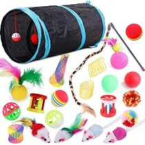 22 Pcs Cat Toys For Indoor Cats Kitten, Cat Tunnel Mouse...