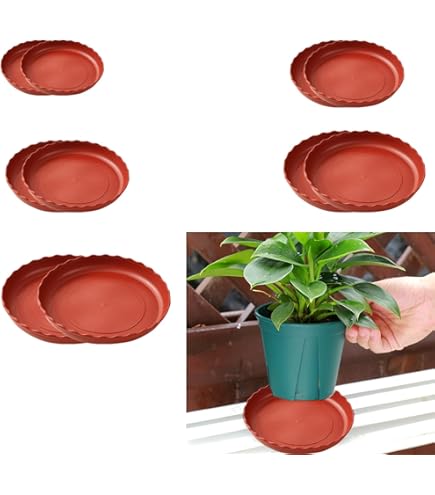 Soucoupe Pour Plante De Forme Ronde Plateaux D'égouttement Des Fleurs