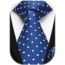 S&W SHLAX&WING Cravatta Uomo Paisley Blu Reale/Rosso – Microfibra Anti-piega – Ideale Per Matrimoni E Ufficio