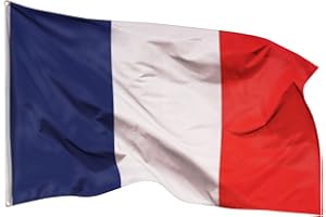 Aricona Drapeau France 90x150cm – français - résistant aux intempéries, avec œillets en laiton, 100% polyester, coutures doubles robustes et couleurs éclatantes – pour extérieur