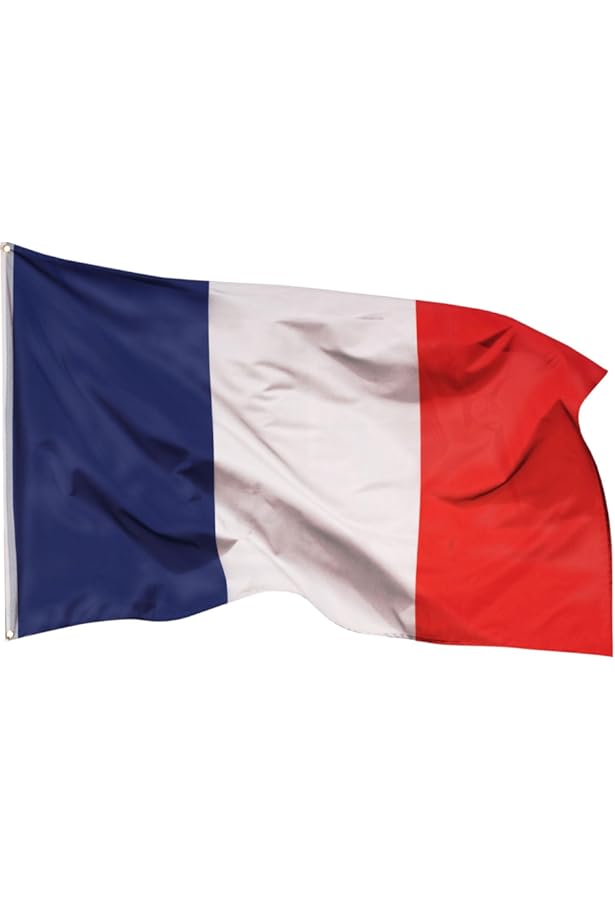 2 Pièces Mâts De Drapeau Télescopique Mât Drapeau à Main Acier