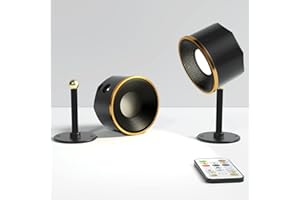 Lionight LED Wall Lamp, 2 Pack Wireless Spotlight with Remote Control,Rechargeable Battery Lights, 360°Rotate Magnetic Ball Lamps,Warm/Natural/White+13 Colorful Change Lights for Night Light, Black
