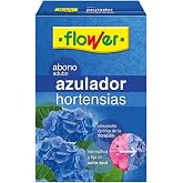 HORTENSIA BLUE