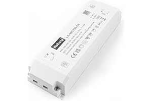 illuburg Transformateur LED Variable TRIAC 700mA Courant Constant 20W - 40W pour Lampe LED Bloc d'Alimentation Driver
