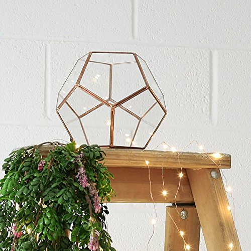 Vase Mini Gewächshaus Terrarium aus Glas und Metall Farbe Kupfer 15,8 cm von Festive Lights - 4