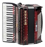 Juwel Serie, 42 Diskanttasten, 4-chörig, 9+1 Register, 120 Bassknöpfe