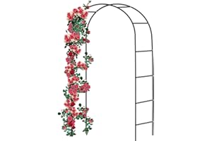 Relax World Arco per Piante Rampicanti da Giardino Supporto Per Rose in Metallo Laccato a Polvere di Colore Verde,Dimensioni L140 x P35 x H240