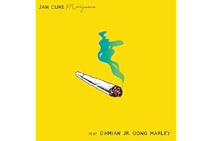 Marijuana (feat. Damian 'Jr. Gong' Marley)