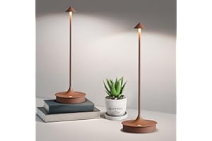 CASSTIA Tischlampe Kabellos，led dimmbar Akku weiß Tischleuchte IP54,Vintage Kleine Kabellose Tischlampen,Usb Aufladbar,FüR Schlafzimmer,Bar,Wohnzimmer,Esstisch,Hotel Camping,nachttischlampe ohne kabel