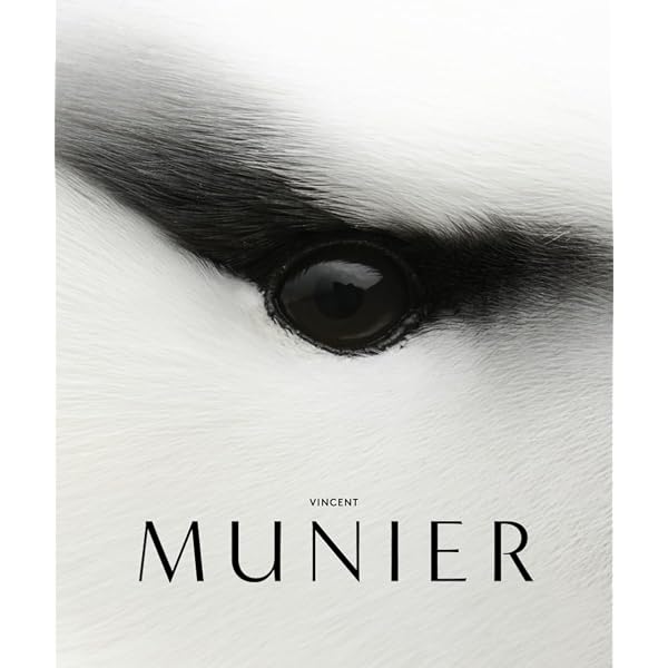 Amazon.fr - Arctique - Munier, Vincent - Livres