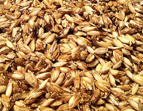 Bio Dinkelkissen Komfort 40*80 cm – Dinkelkopfkissen Dinkelspelzkissen – versandkostenfrei – mit abnehmbarem waschbarem Komfortbezug aus Baumwolle mit Reissverschluss - 2