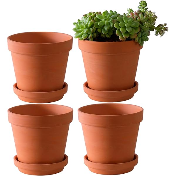 8 Inch Clay Pot For Plant With Saucer 2 Pack Large Terra Cotta Plant Pot With Drainage Hole Clay Planters Pot Terracotta Pot For Indoor Outdoor Plant Amazon Ae Patio Lawn Garden