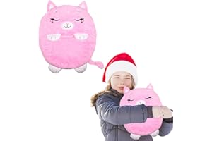 WANDERGO Sac de couchage 2 en 1 pour enfants avec oreiller, doux et chaud, pliable, pour enfants, filles, garçons, toutes saisons