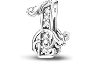 XWN Ciondolo Argento Sterling 925 con Cubic Zirconia Pendenti per Pandora Braccialetti, Compatibile con Braccialetti e Collane europei, perfetto Regali per Moglie e Ragazze 1P