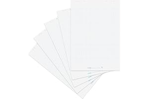 Landré Flipchart-Papier recycling , kariert, mit 20 Blatt je Block, 6 fach Lochung, 5 Stück