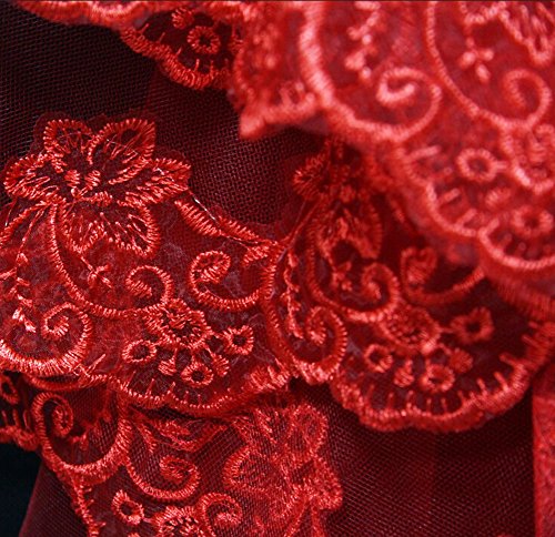 JUNGEN Spitze Brautschleier Hochzeit Kleid Zubehör 150cm Rot - 2