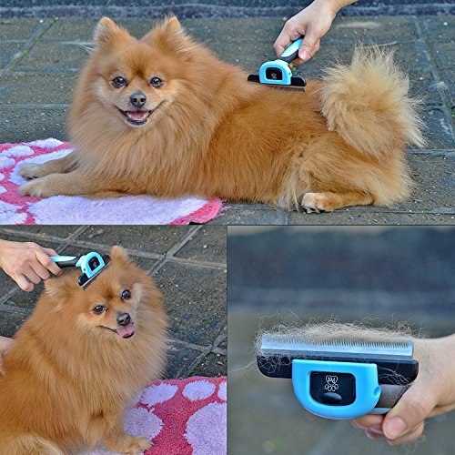 Pet-Deshedding-Tool-EveShine-3-in-1-Professional-Pet-Grooming-Brush-for-Small-Medium-Large-Dogs-Cats-Horses-Remove-Up-to-90-Shedding-Fur-within-Minutes-Three-Sizes-Tool