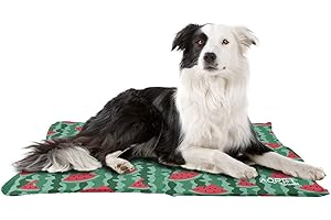 AQPET AqpetFriends - Alfombrilla refrigerante refrescante para Perros, Gatos y Animales, con diseño de Frutas, 60 x 50 cm