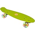 EVO 22' Light Up Penny Board | Skateboard For Beginners Or Pro's | Light Up Wheel Skateboard For Kids & Teenagers | Mini Cruiser Complete Board | Suitable For All Aged 3+