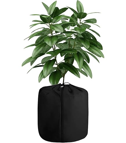 Novatool Protection Hivernale Pour Arbre - Diamètre : 20 Cm - Disque De Coco - Pour Plantes En Pot, Protection Hivernale, Hiver, Froid, Gel - Protection Des Plantes - Paillis - Protection Contre Le