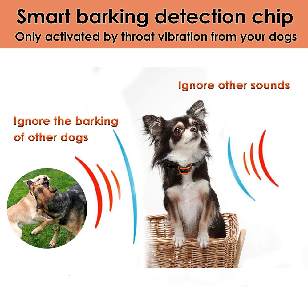 MASBRILL-Collier-de-Chien-Qui-aboie-pour-25-25-kg-Petits-Chiens-Collier-de-Dressage-Anti-aboiement-Intelligent-avec-Puce-et-Sons-amliors-avec-Son-et-Vibrations-Aucun-Danger-S-Orange
