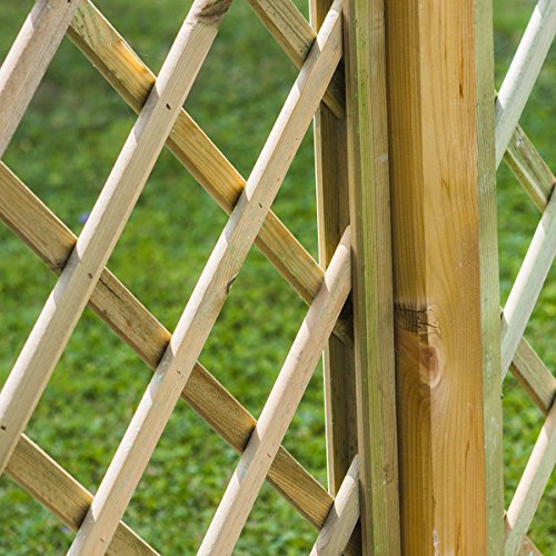 Rankgitter aus Holz Autoklav 1200 x 1800 Trikot 120 mm - 6