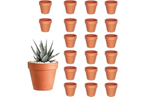 HDKAJL 20 Mini Macetas para Flores de Terracota, con Necesidad de Drenaje, para Casas de Cactus y Suculentes Enteras (3.5x3 cm)
