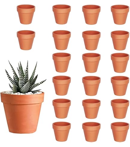 Comment Fabriquer Un Pot De Fleur En Plastique