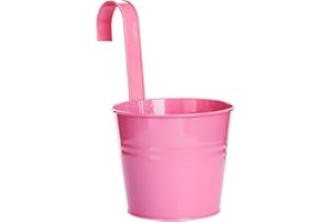 HSHDUTI Pots de fleurs, pots de jardin, seaux à suspendre, pots de fleurs en métal avec crochet pour balcon, clôture Rose L