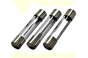 LED-MAFIA Lot de 20 fusibles en verre pour appareils électriques Flink 6 x 30 mm – 5 A 10 A 15 A 20 A 25 A 30 A 40 A 250 V (15 A)