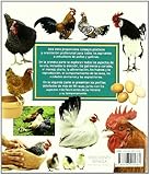 Image de Razas y cría de pollos y gallinas (GUIAS DEL NATURALISTA-GANADERIA Y AVICULTURA)