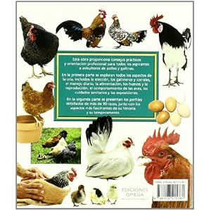 Razas y cría de pollos y gallinas (GUIAS DEL NATURALISTA-GANADERIA Y AVICULTURA)