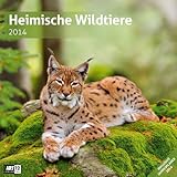 Heimische Wildtiere 2014 Art12 Collection: Inlusive 10 beliebig oft verschiebaren Markern by