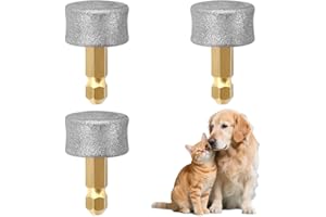 ZORVYN 3 Pezzi Testine di Ricambio per Lima per Unghie di Cane, Testine di Ricambio Integrate, Disco Abrasivo Efficiente, Sicuro, Durevole, Ideale per Casfuy e la Maggior Parte delle Marche