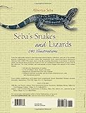 Image de Seba's Snakes And Lizards: 240 Illustrations